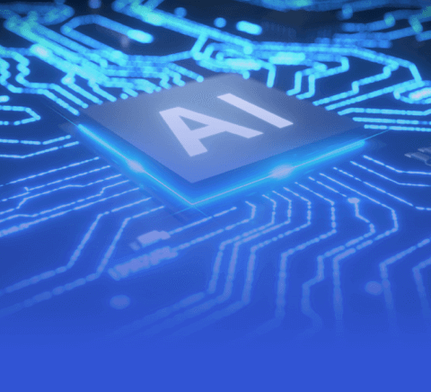 新手入门指南：熊猫体育官网